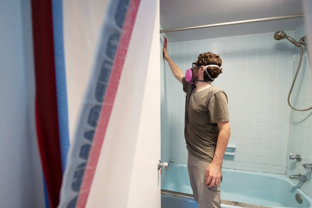 Mold Remediation for Rental Properties in Old Orchard, PA