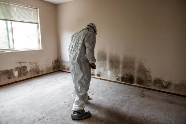 Best Emergency Mold Remediation  in Old Orchard, PA